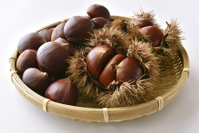 chestnuts