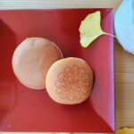 Dorayaki, Japanese pancake filled with sweet red bean paste