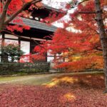 Autumn foliage