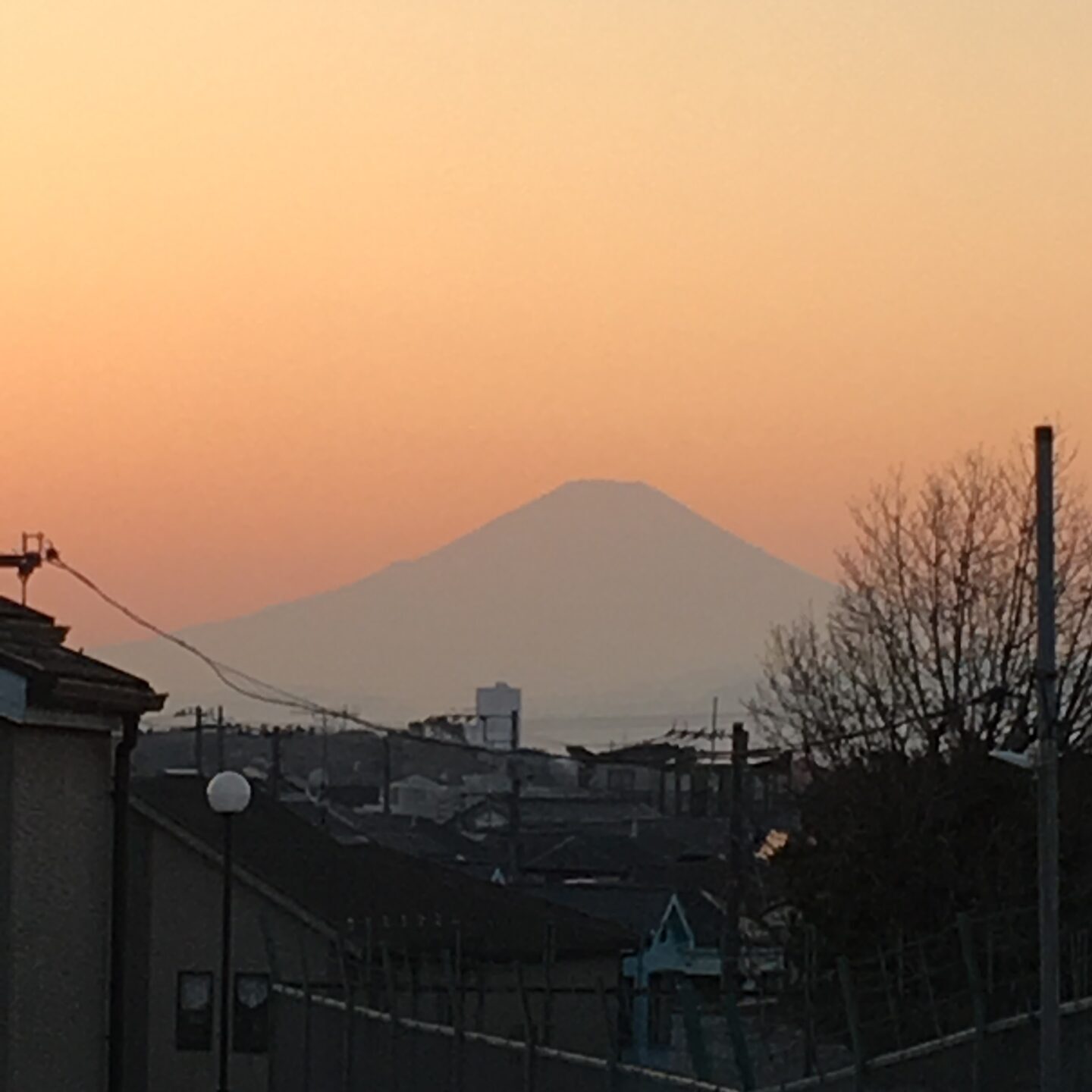 Fujisan in the sunset