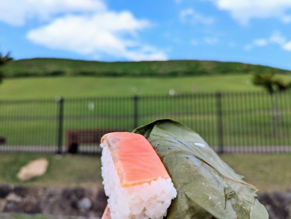 Kakinoha-sushi on a park bench